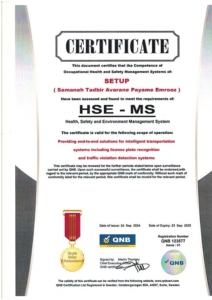 HSE-MS